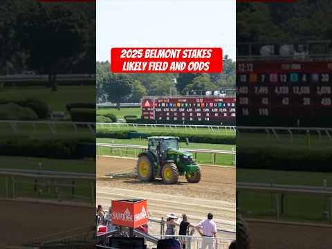 The likely contenders for the Belmont Stakes at Saratoga plus predicted odds!